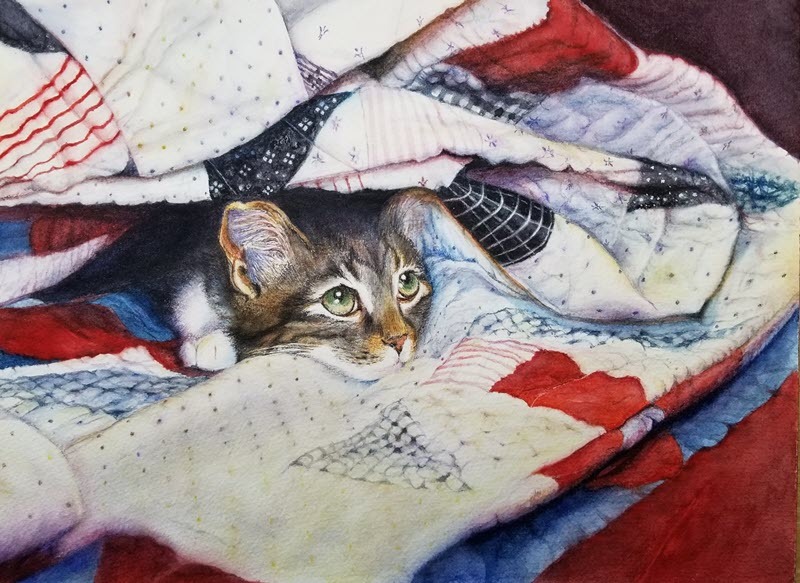 "Kiki in a Quilt" by Starr Shebesta